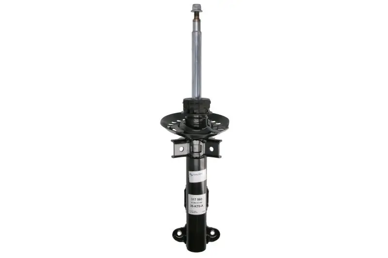 Amortyzator SACHS 317 560 | Nie przegap okazji