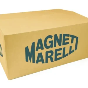 OŚWIETLENIE TABLICY REJESTRACYJNEJ MAGNETI MARELLI LLI770 8200013577 RENAULT - Zamów teraz