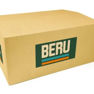 PRZEKAŹNIK ŚWIEC ŻAROWYCH BERU GR054 598121 - Ulubieniec klientów
