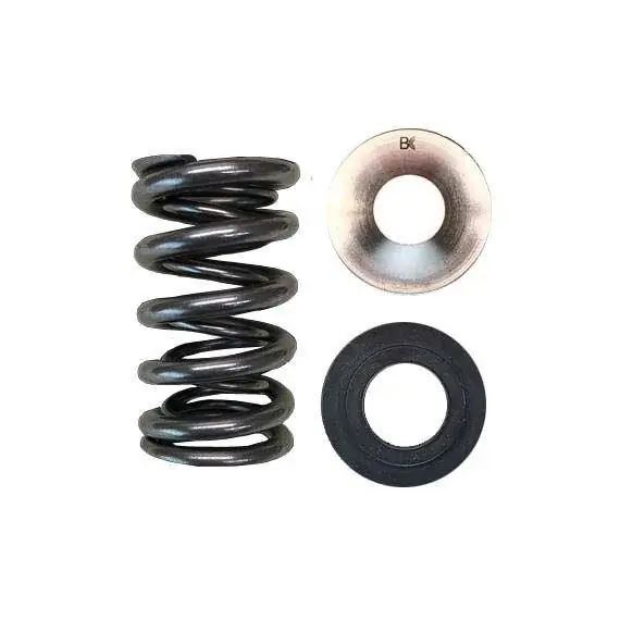 Ostatnia szansa | Podwójne Spręzyna/Tytanowa Miska zaworowa/SEAT/VALVE SEAL KIT (Mitsubishi 4G63/Evo)