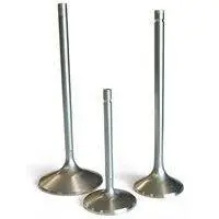 Zawory ssące HONDA B16A/B17A/B18C 1.6/1.7/1.8 DOHC VTEC /GSR/Acura Integra/Del Sol/Civic Si/92-00 Zestaw | Zniżka